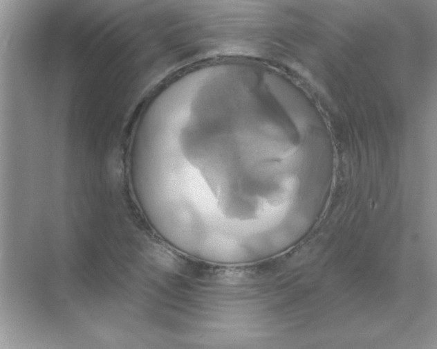 X0000071911266200607212033