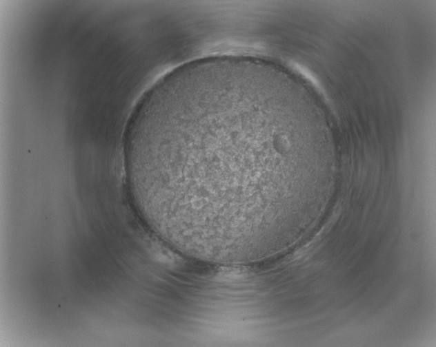 X0000071911267200607212033