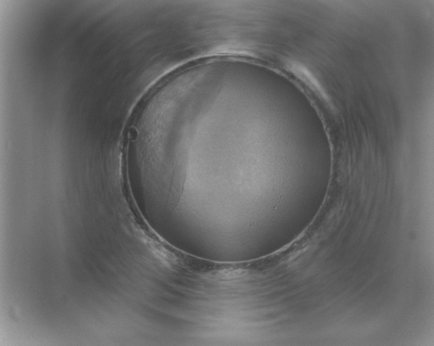 X0000071911268200607212033