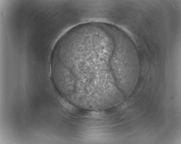 X0000071911271200607212033