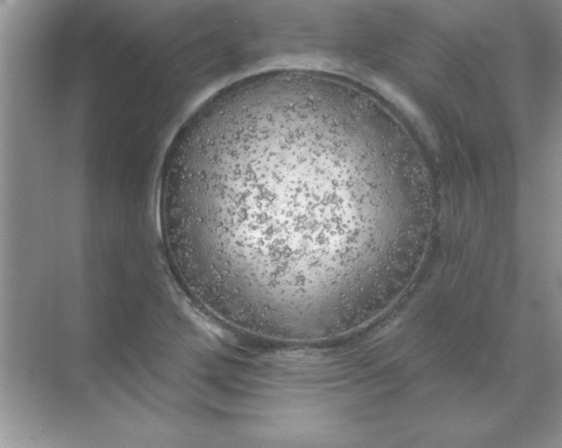 X0000071911272200607212033