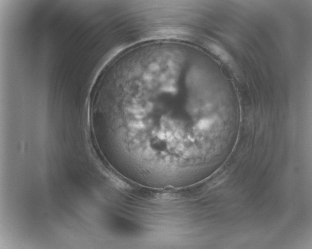 X0000071911275200607212033