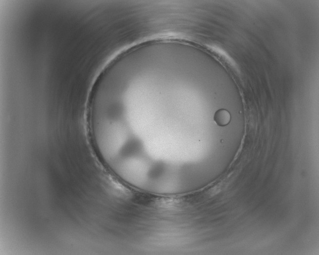 X0000071911278200607212033