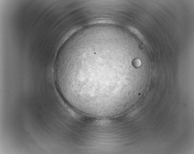 X0000071911282200607212033