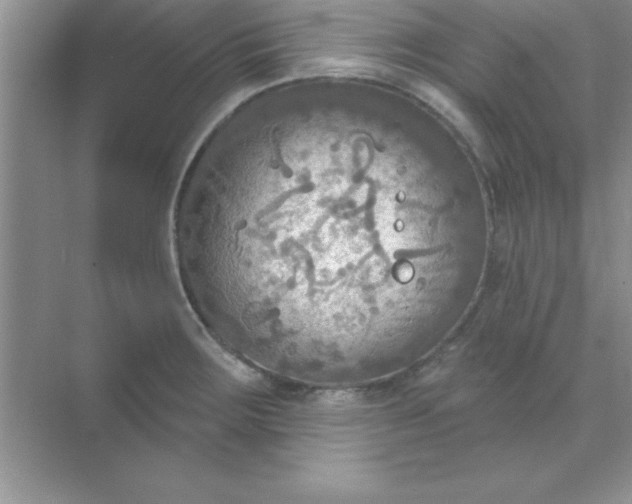 X0000071911283200607212033