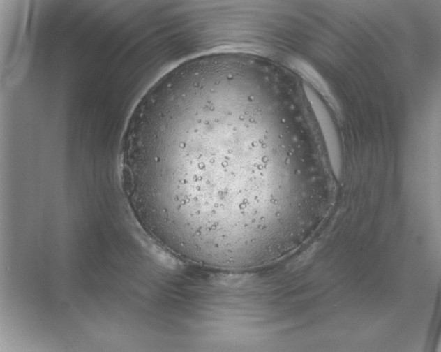 X0000071911284200607212033