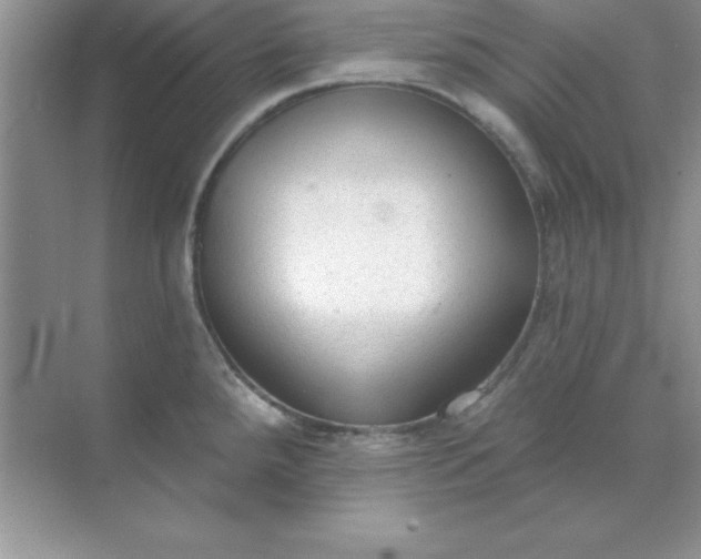 X0000071911288200607212033