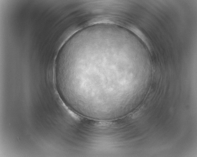 X0000071911290200607212033