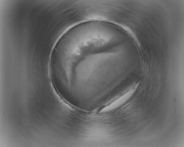 X0000071911295200607212032