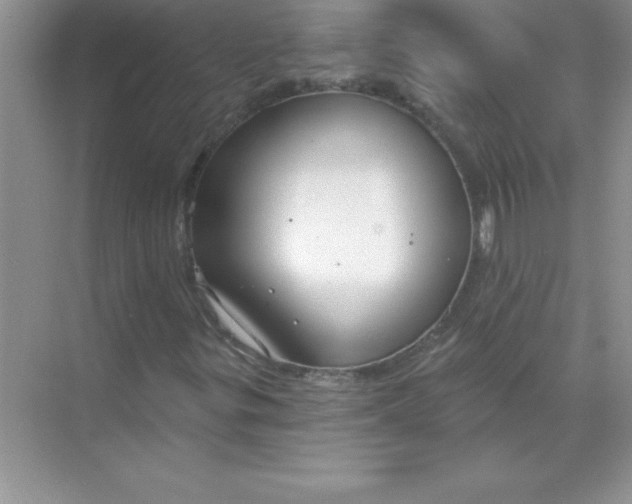 X0000071911299200607212032