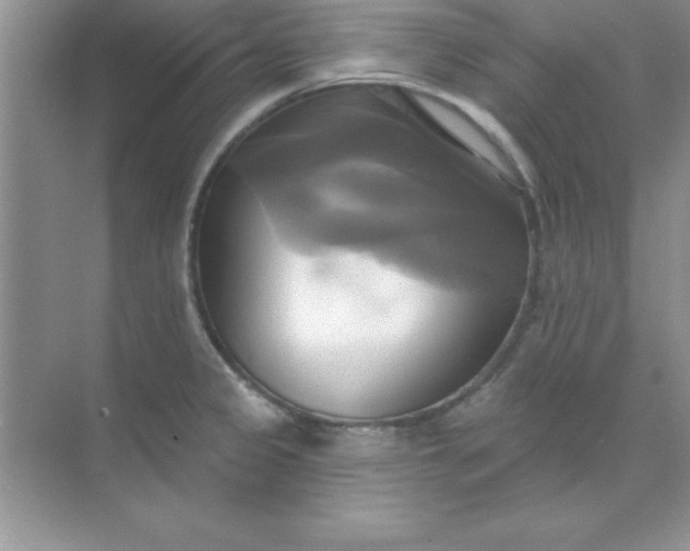 X0000071911333200607212032