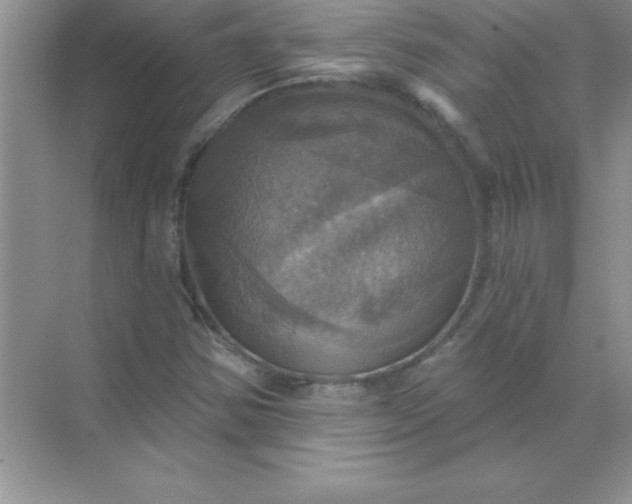 X0000071911354200607212031