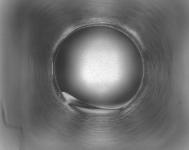 X0000071911365200607212031