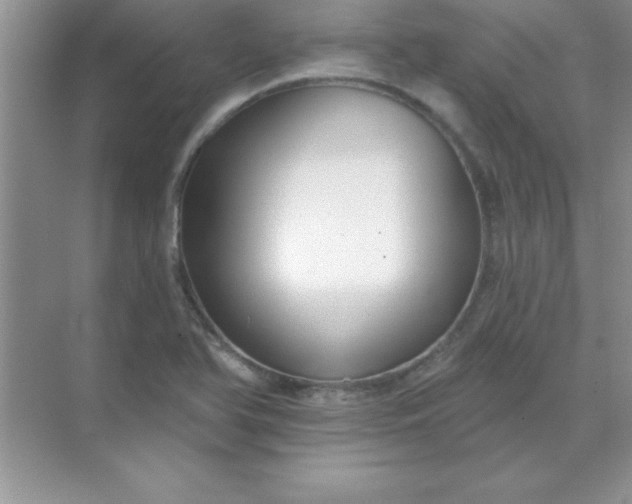 X0000071911366200607212031