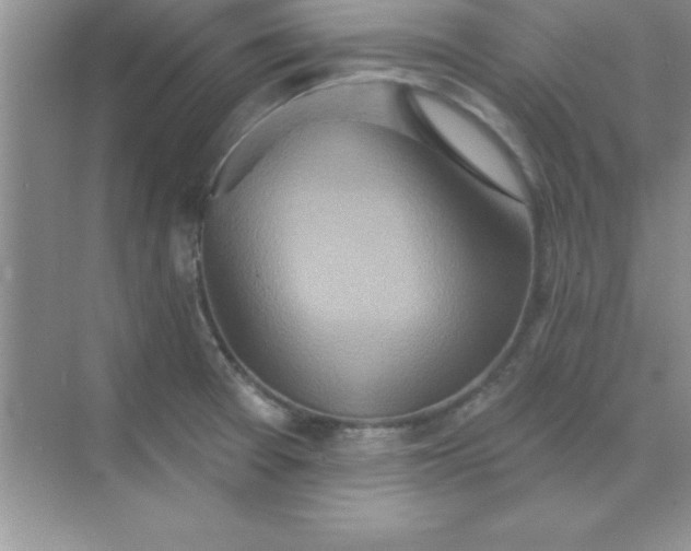 X0000071911377200607212031