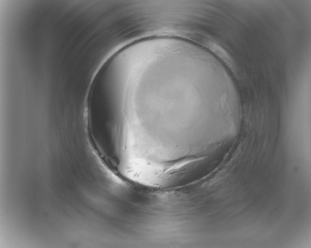 X0000071911428200607212031