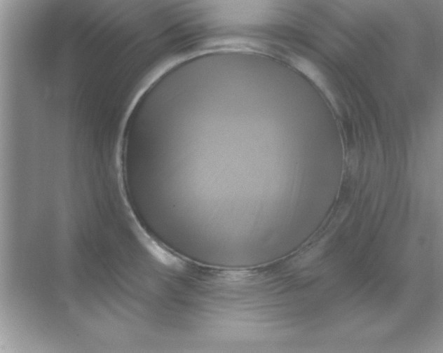X0000071911482200607212029