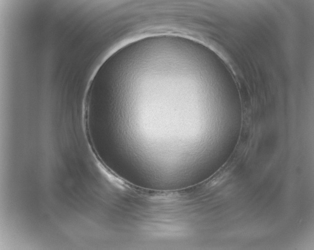 X0000071911535200607212029
