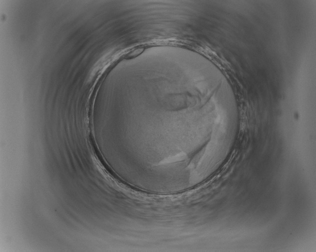 X0000071910002200607281840