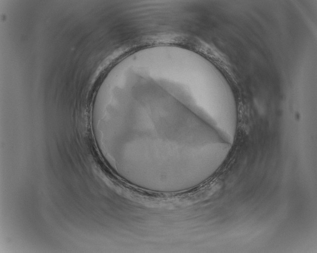 X0000071910012200607281840