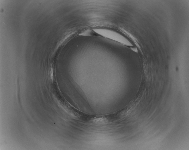X0000071910067200607281839