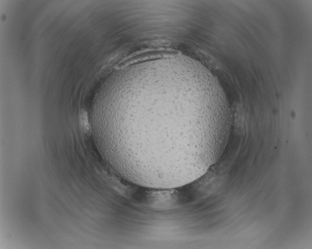 X0000071910089200607281839
