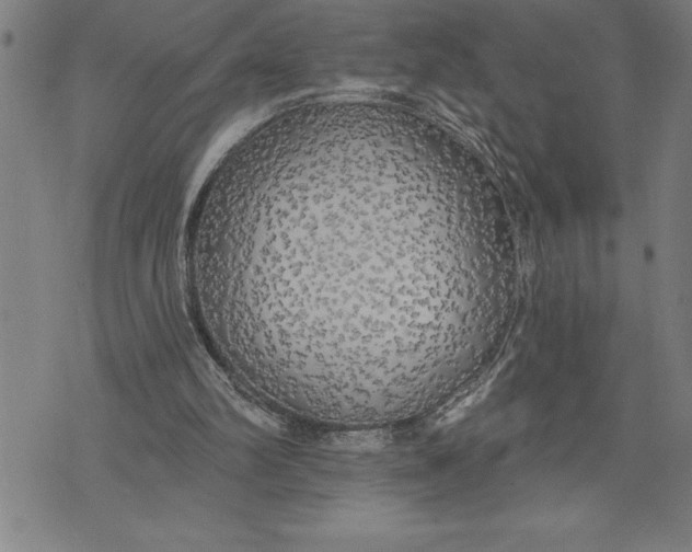 X0000071910102200607281838