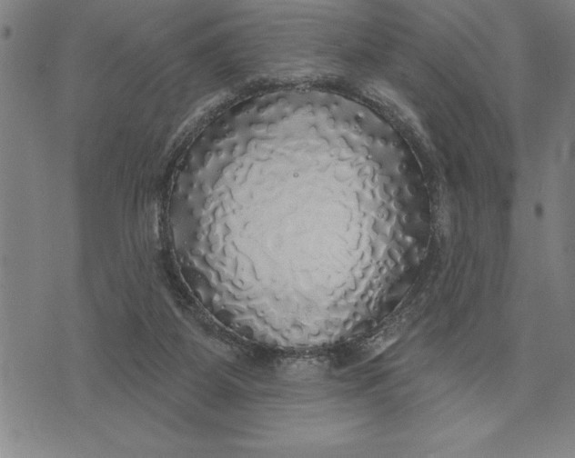 X0000071910115200607281838