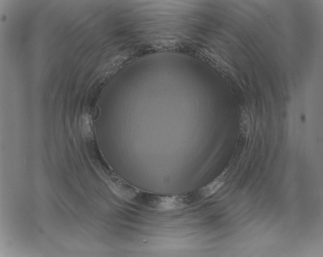 X0000071910130200607281838