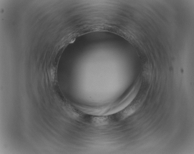 X0000071910139200607281838