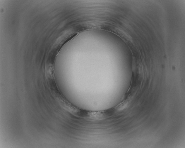 X0000071910141200607281838