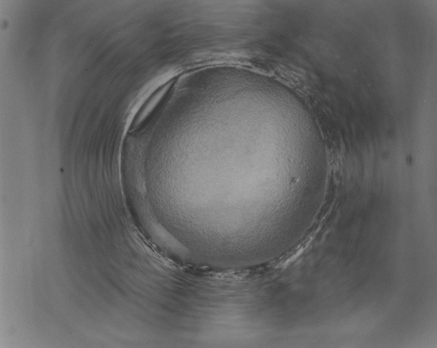 X0000071910148200607281837