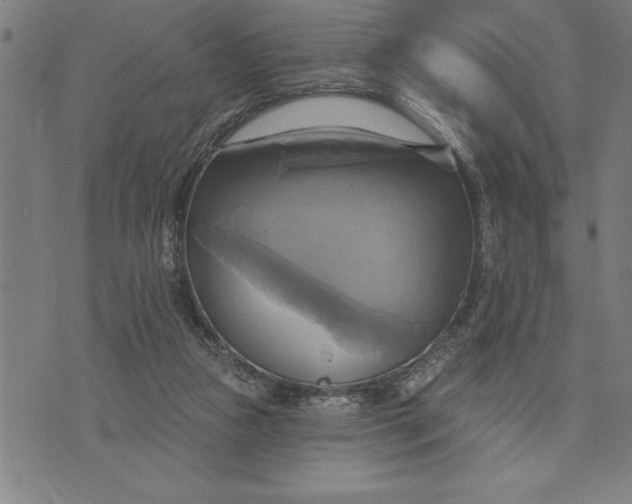 X0000071910161200607281837
