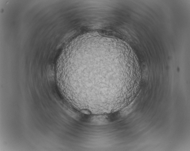 X0000071910179200607281837