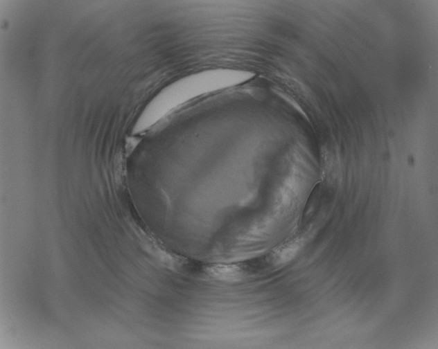 X0000071910189200607281837