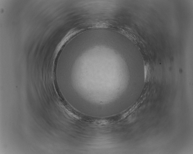 X0000071910195200607281837