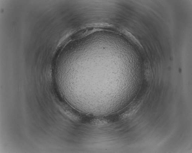 X0000071910207200607281837