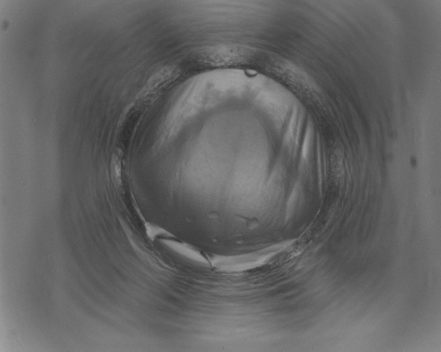 X0000071910214200607281836