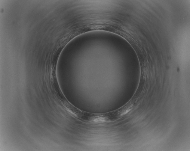 X0000071910219200607281836
