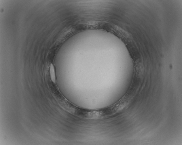 X0000071910225200607281836