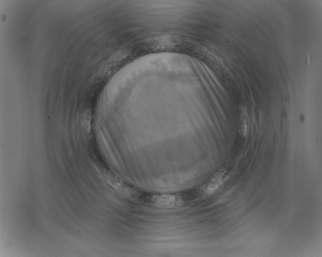 X0000071910230200607281836