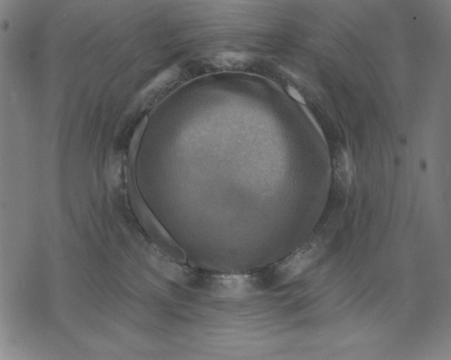 X0000071910233200607281836