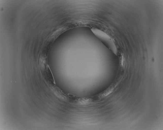 X0000071910235200607281836