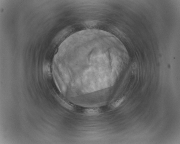 X0000071910238200607281836