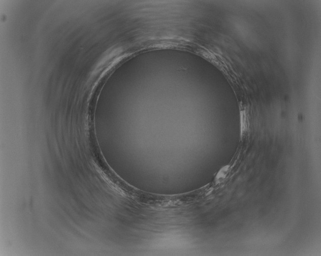 X0000071910243200607281835