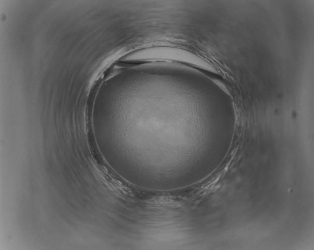 X0000071910244200607281835