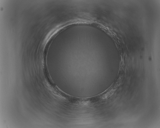 X0000071910247200607281835