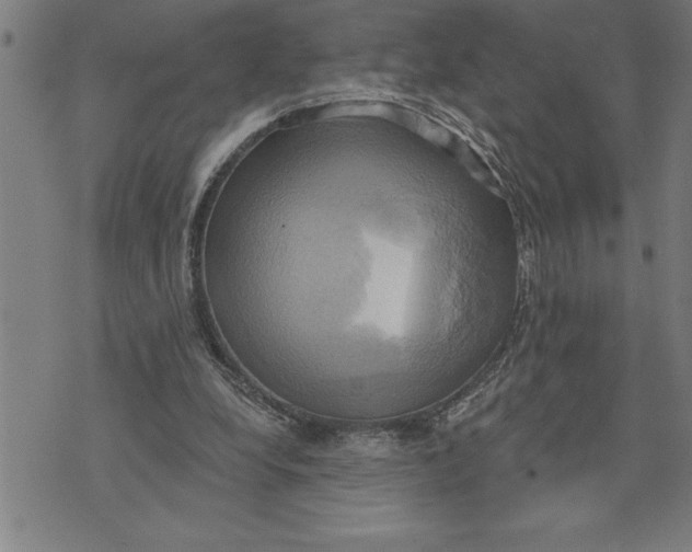 X0000071910248200607281835