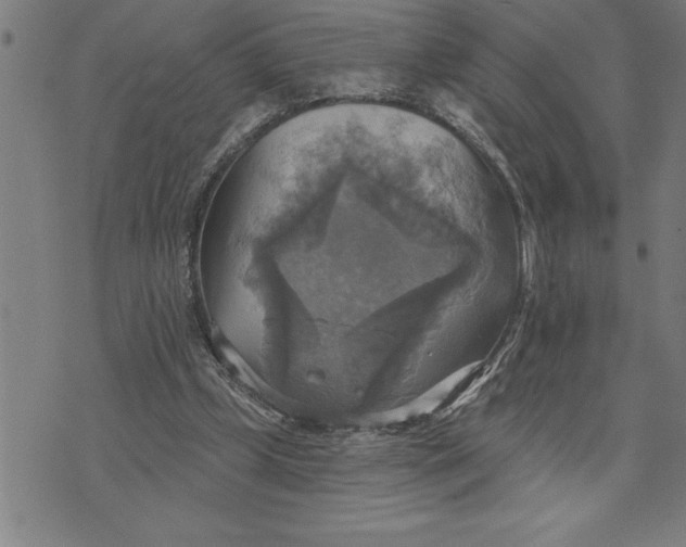 X0000071910249200607281835