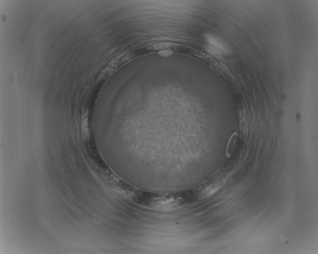 X0000071910267200607281836